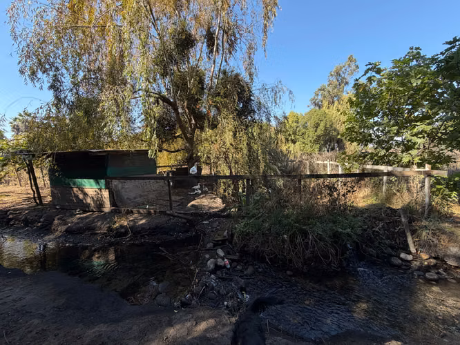 isla de maipo 2d/1b parcela frutales  (160639)