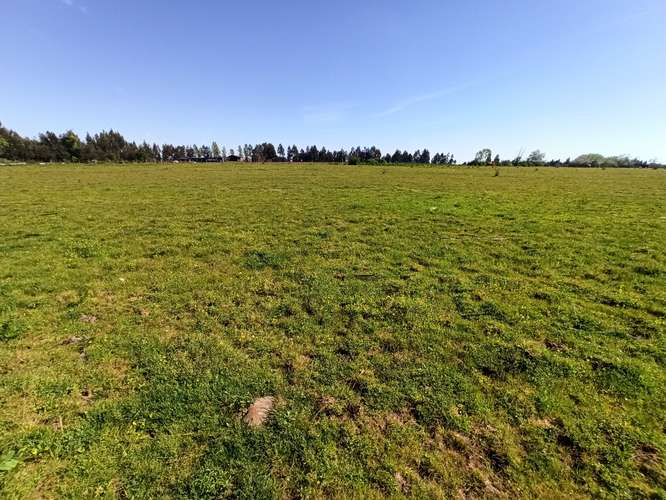CAMPO AGRÍCOLA DE 6,8 HA EN VENTA EN SAN CLEMENTE
