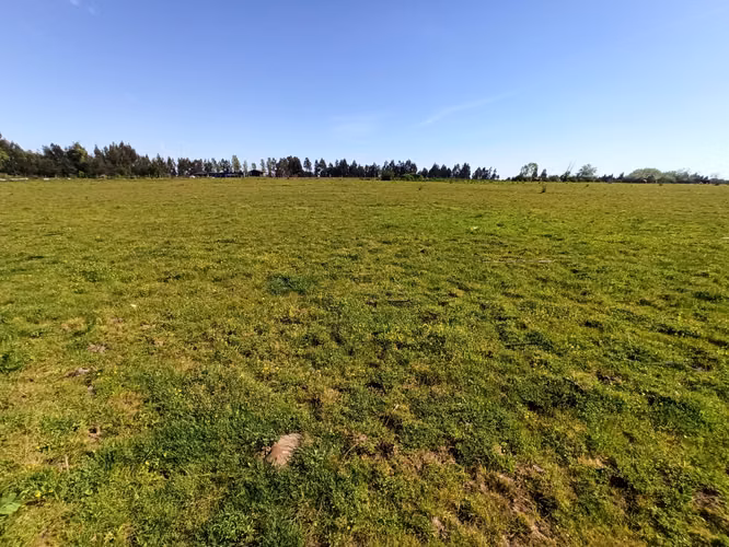 CAMPO AGRÍCOLA DE 6,8 HA EN VENTA EN SAN CLEMENTE
