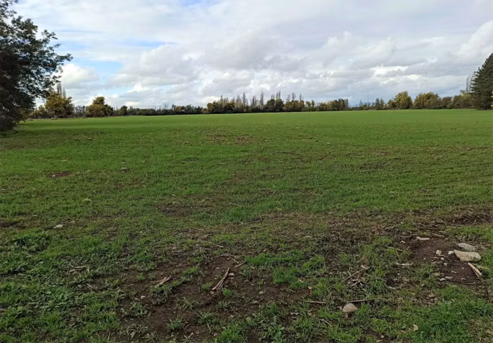 PROPIEDAD AGRÍCOLA EN VENTA, CAMPO DE 27,73 HA