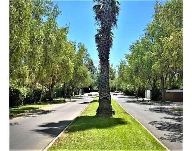 VENTA GRAN PARCELA CON CASA NO PERIMETRAL PRECIO OFERTA - Imagen 12
