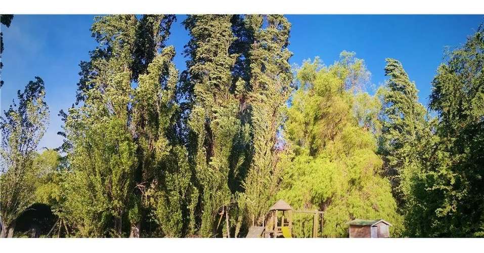 VENTA GRAN PARCELA CON CASA NO PERIMETRAL PRECIO OFERTA - Imagen 13