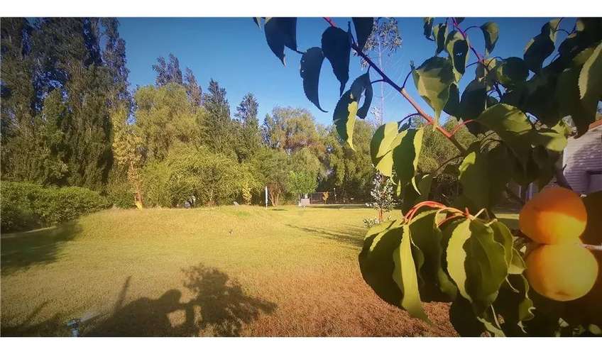 VENTA GRAN PARCELA CON CASA NO PERIMETRAL PRECIO OFERTA - Imagen 15