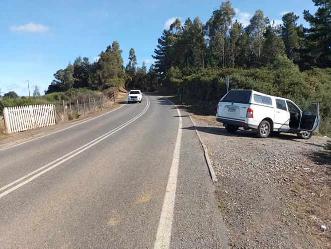 CARAHUE 15,5 HECTAREAS, PAPELES AL DIA