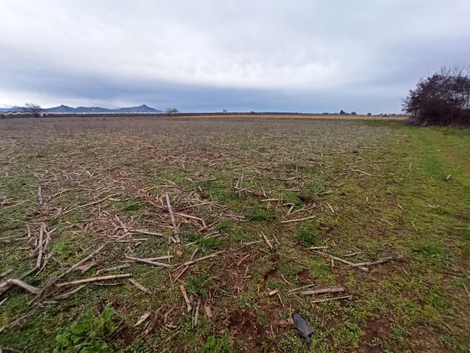 CAMPO AGRÍCOLA EN VENTA, TERRENO DE 58 HA, RÍO CLARO