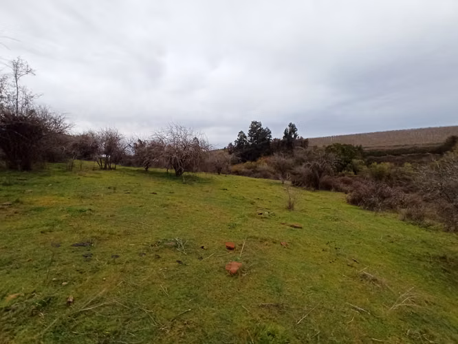 CAMPO AGRÍCOLA CON AGUA, TERRENO DE 58 HA, RÍO CLARO