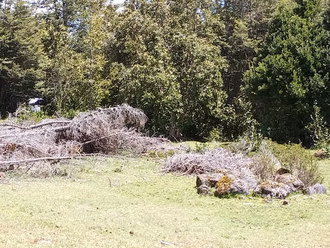 MARAVILLOSA NATURALEZA CASI VIRGEN 5000MTS EMPALME CERCA ROL
