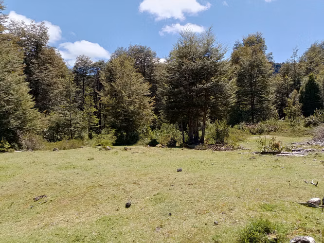 MARAVILLOSA NATURALEZA CASI VIRGEN 5000MTS EMPALME CERCA ROL