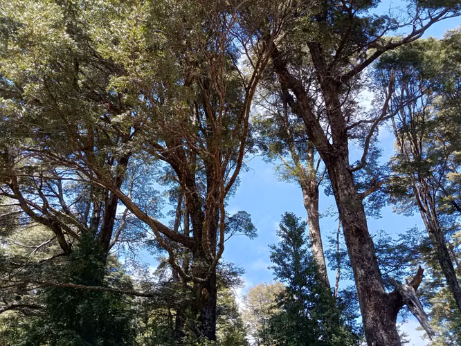 MARAVILLOSA NATURALEZA CASI VIRGEN 5000MTS EMPALME CERCA ROL