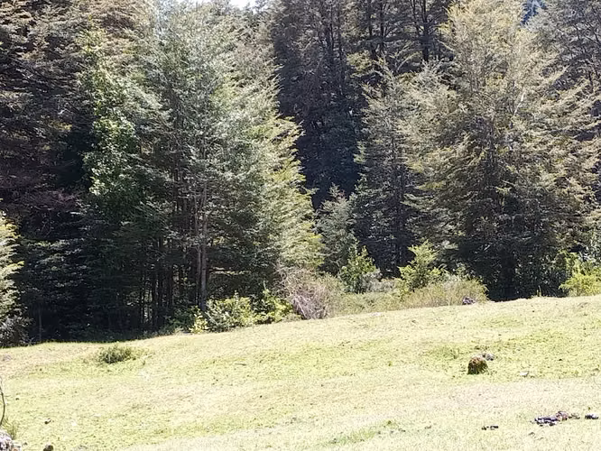 MARAVILLOSA NATURALEZA CASI VIRGEN 5000MTS EMPALME CERCA ROL