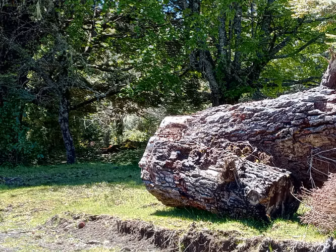 MARAVILLOSA NATURALEZA CASI VIRGEN 5000MTS EMPALME CERCA ROL