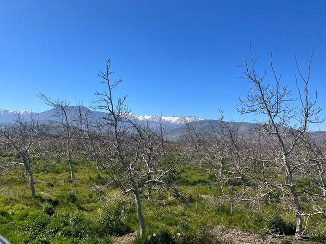 Venta de Parcelas Agrícolas en Plazuela, Quebrada de Herrera - Putaendo, Valparaíso