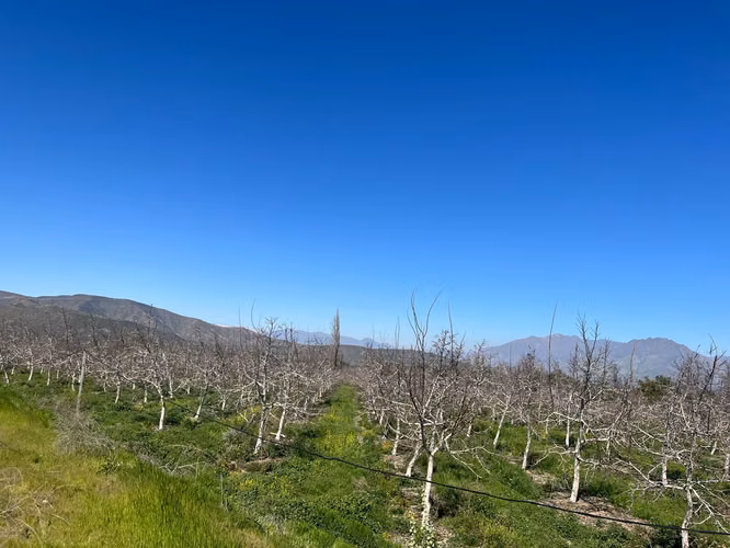 Venta de Parcelas Agrícolas en Plazuela, Quebrada de Herrera - Putaendo, Valparaíso