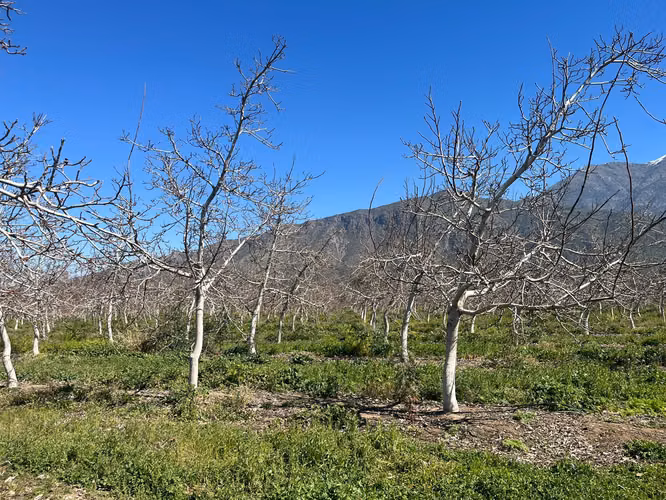 Venta de Parcelas Agrícolas en Plazuela, Quebrada de Herrera - Putaendo, Valparaíso