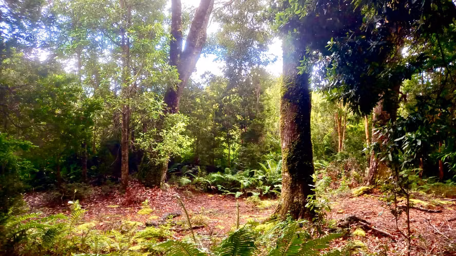 Parcela 5000m2 en Venta , Parque Campomar , Piedra Azul , a 15 minutos de Puerto Montt.