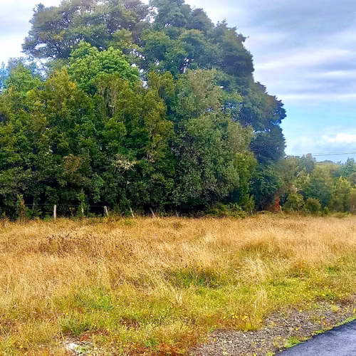 Parcela 5000m2 en Venta , Parque Campomar , Piedra Azul , a 15 minutos de Puerto Montt.