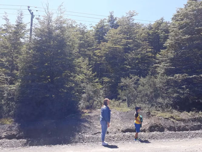 EXCELENTE SITIO 5.000 M2 EN CAMINO AL VOLCÁN, PUCÓN