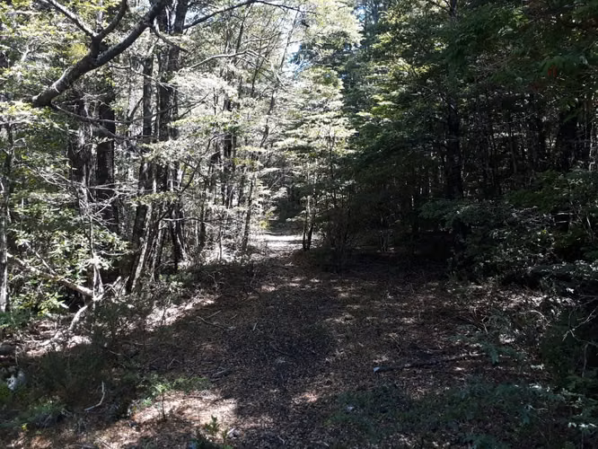 EXCELENTE SITIO 5.000 M2 EN CAMINO AL VOLCÁN, PUCÓN