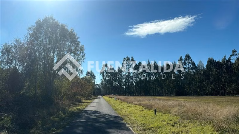 Casa Estreno en arriendo de 3D3B en Frutillar