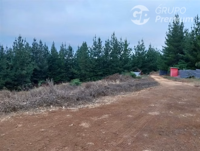 Parcela en venta en Pichilemu