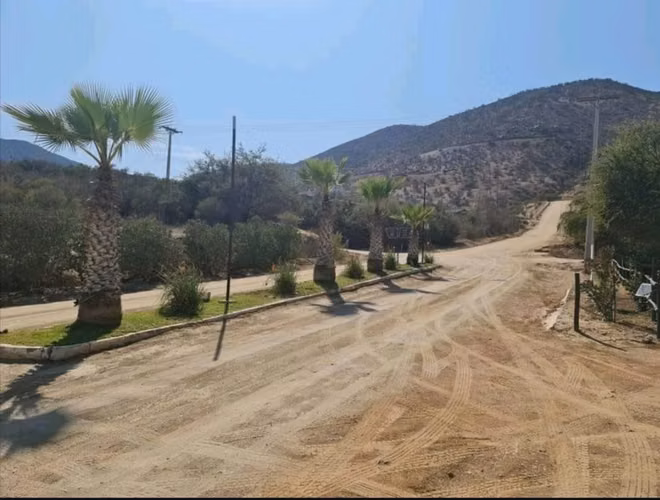 HERMOSA PARCELA  , EL  MAQUII CURACAVÍ - Imagen 2