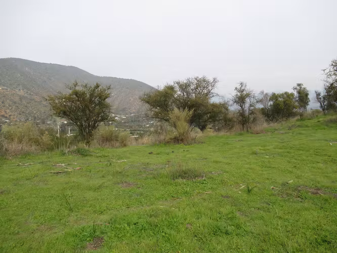 HERMOSA PARCELA  , EL  MAQUII CURACAVÍ