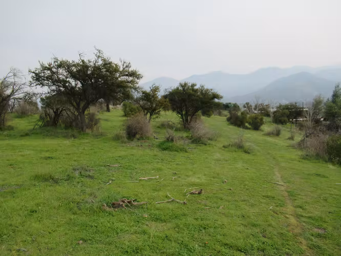 HERMOSA PARCELA  , EL  MAQUII CURACAVÍ