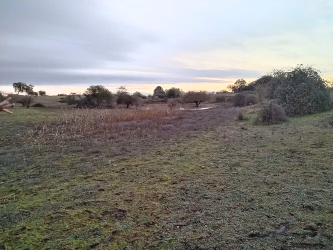 CAMPO 63,4 HA LOMAJE AGUA BUEN ACCESO RIO CLARO