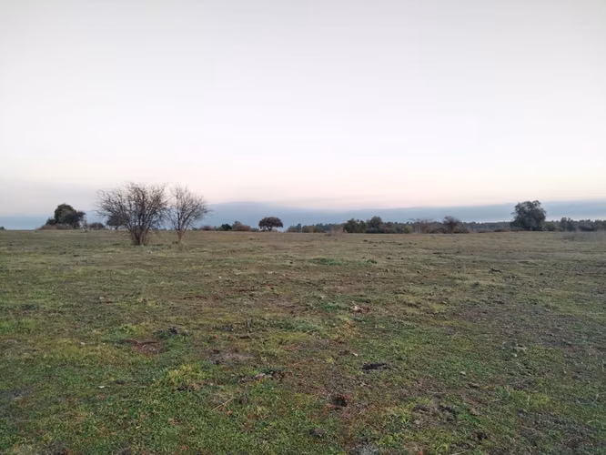 CAMPO 63,4 HA LOMAJE AGUA BUEN ACCESO RIO CLARO