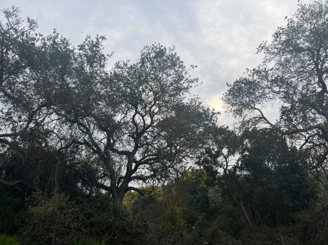 VENTA TERRENO PARA INVERSIÓN INMOBILIARIA EN MANTAGUA