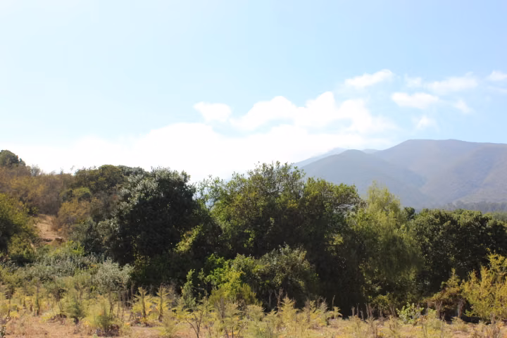 VENTA TERRENO PARA INVERSIÓN INMOBILIARIA EN MANTAGUA