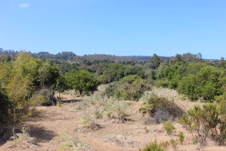 VENTA TERRENO PARA INVERSIÓN INMOBILIARIA EN MANTAGUA