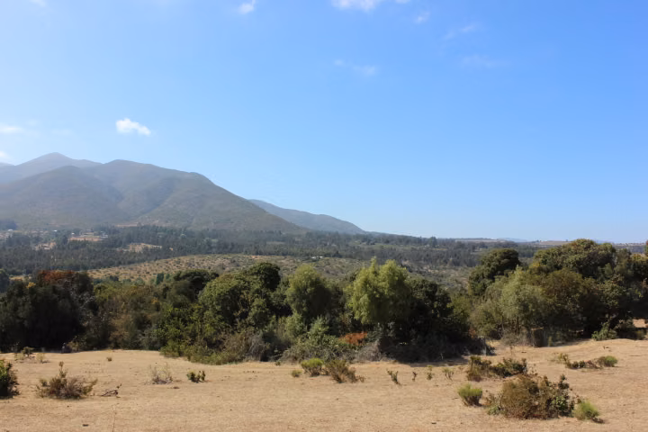 VENTA TERRENO PARA INVERSIÓN INMOBILIARIA EN MANTAGUA