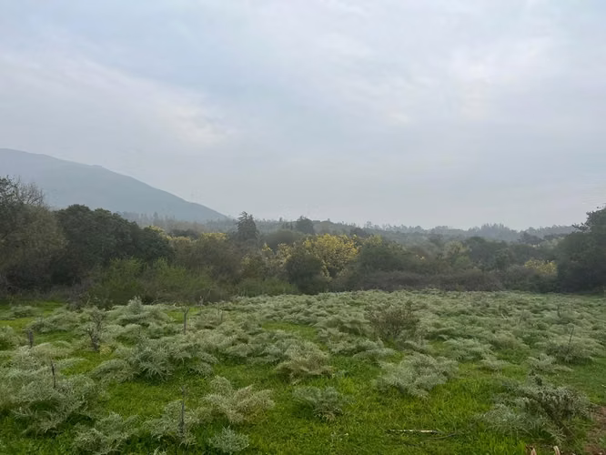 VENTA TERRENO PARA INVERSIÓN INMOBILIARIA EN MANTAGUA