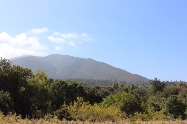VENTA TERRENO PARA INVERSIÓN INMOBILIARIA EN MANTAGUA