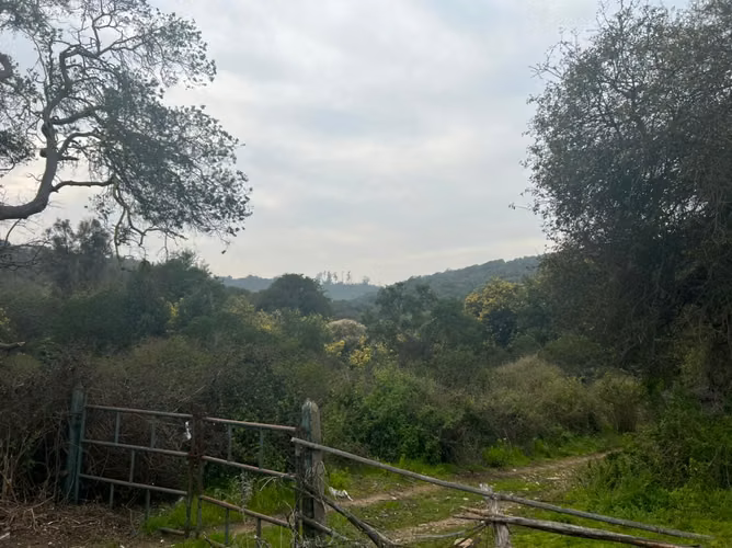 VENTA TERRENO PARA INVERSIÓN INMOBILIARIA EN MANTAGUA