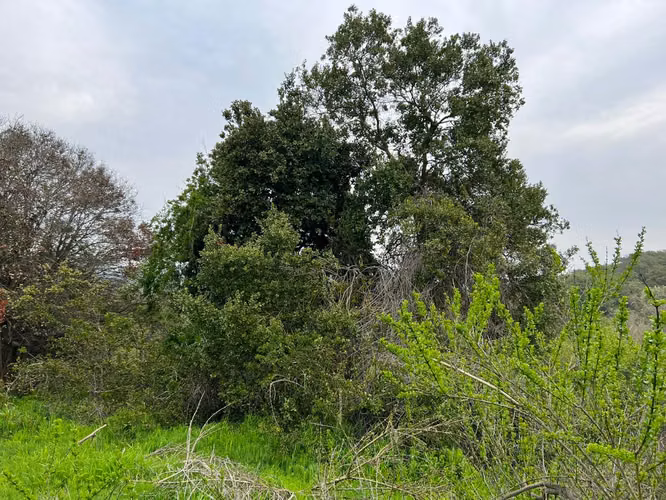 VENTA TERRENO PARA INVERSIÓN INMOBILIARIA EN MANTAGUA