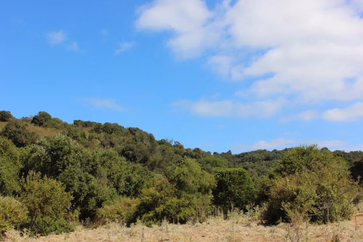 VENTA TERRENO PARA INVERSIÓN INMOBILIARIA EN MANTAGUA