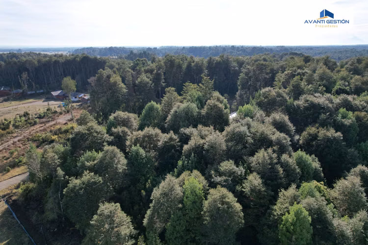 SE VENDE PARCELA EN SECTOR MONTE VERDE PUERTO MONTT - Imagen 24