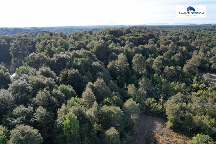 SE VENDE PARCELA EN SECTOR MONTE VERDE PUERTO MONTT - Imagen 22