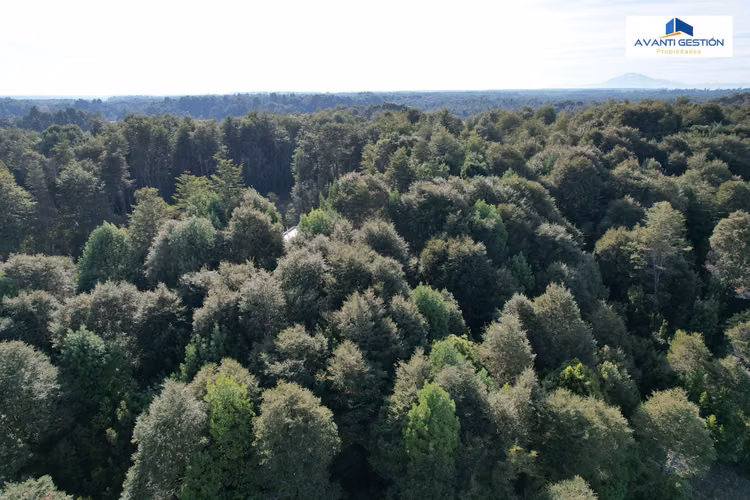 SE VENDE PARCELA EN SECTOR MONTE VERDE PUERTO MONTT - Imagen 23