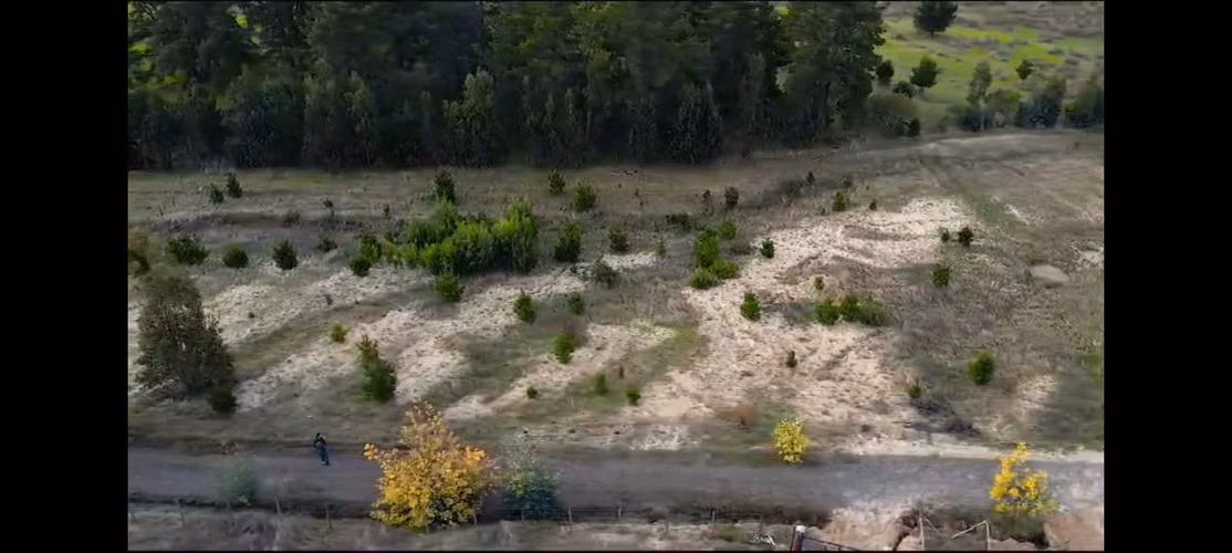 VENTA PARCELA A PASOS DE LA CIUDAD DE ANGOL - Imagen 5