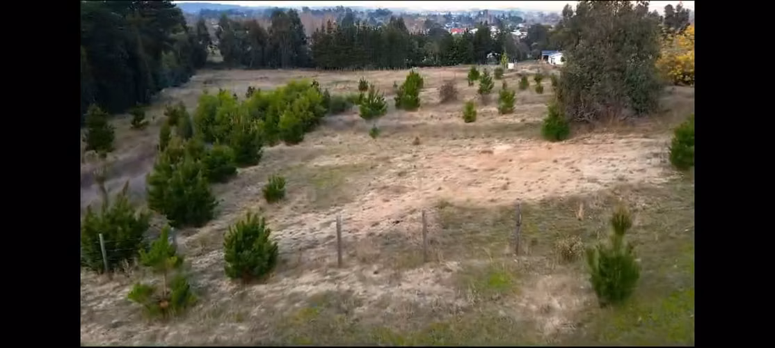 VENTA PARCELA A PASOS DE LA CIUDAD DE ANGOL - Imagen 6