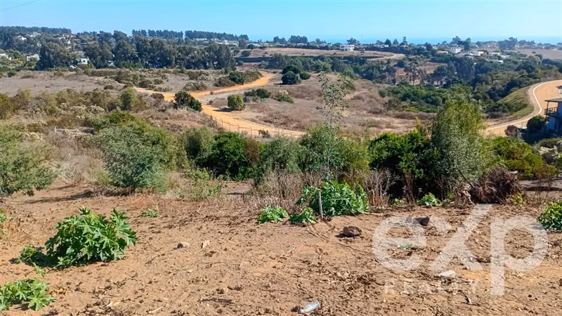 Terreno Construccion en venta en Puchuncaví