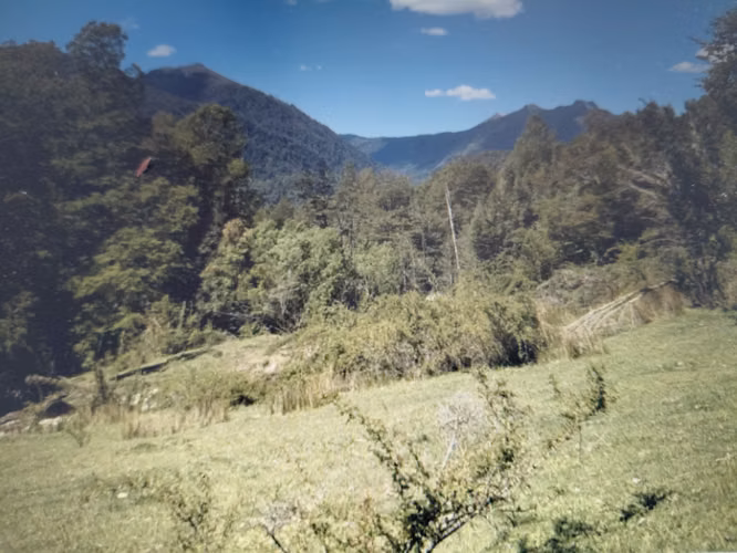 Parcela 5.000 m² en Parque Nauco, Pucón  precordillerano - Imagen 3