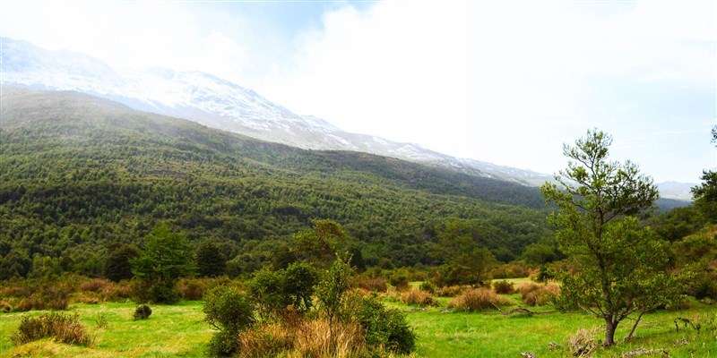 ESTANCIA EN PATAGONIA CHILENA