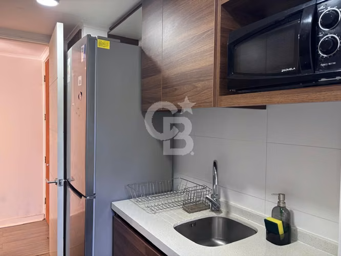 Precioso y cálido departamento a pasos del centro