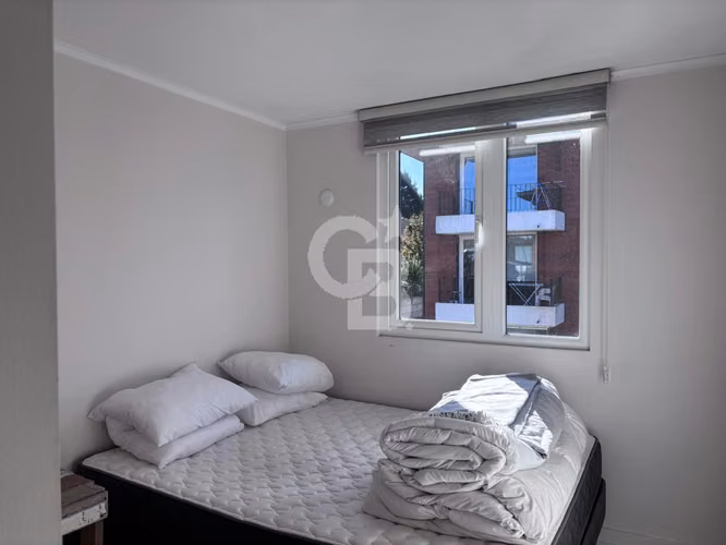 Precioso y cálido departamento a pasos del centro