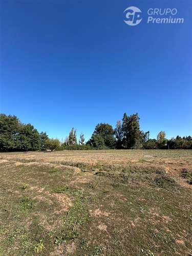 Terreno 5000m2 Sector Las Rastras Ranquimili - Imagen 7
