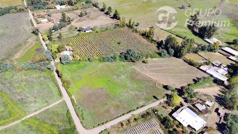 Terreno 5000m2 Sector Las Rastras Ranquimili - Imagen 8